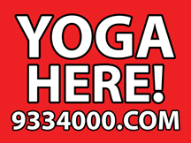 palmieri, yoga, avon lake, lorain, county, oh, cleveland